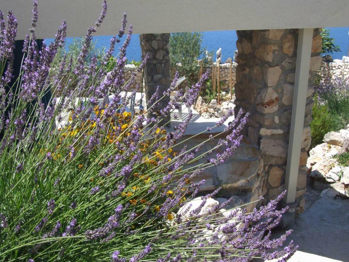 Stone House Marina-Sevid, 1 House-1 Apartment Exterior photo